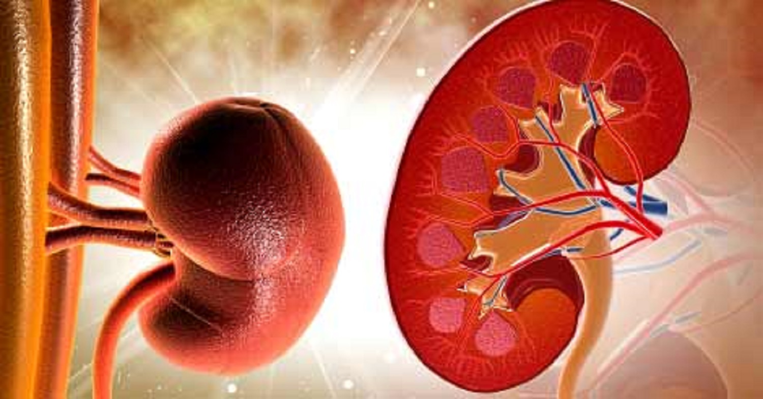 Albumin & Creatinine Tests Market Unlimited Opportunities for New Companies, Forecast to 2024-2032