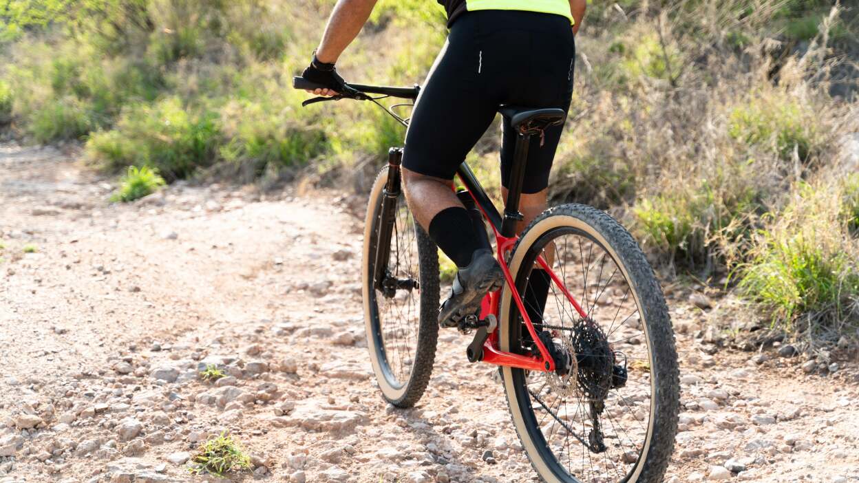 Cyclin Shorts Market Future Trendz n' Research Report by 2024-2032