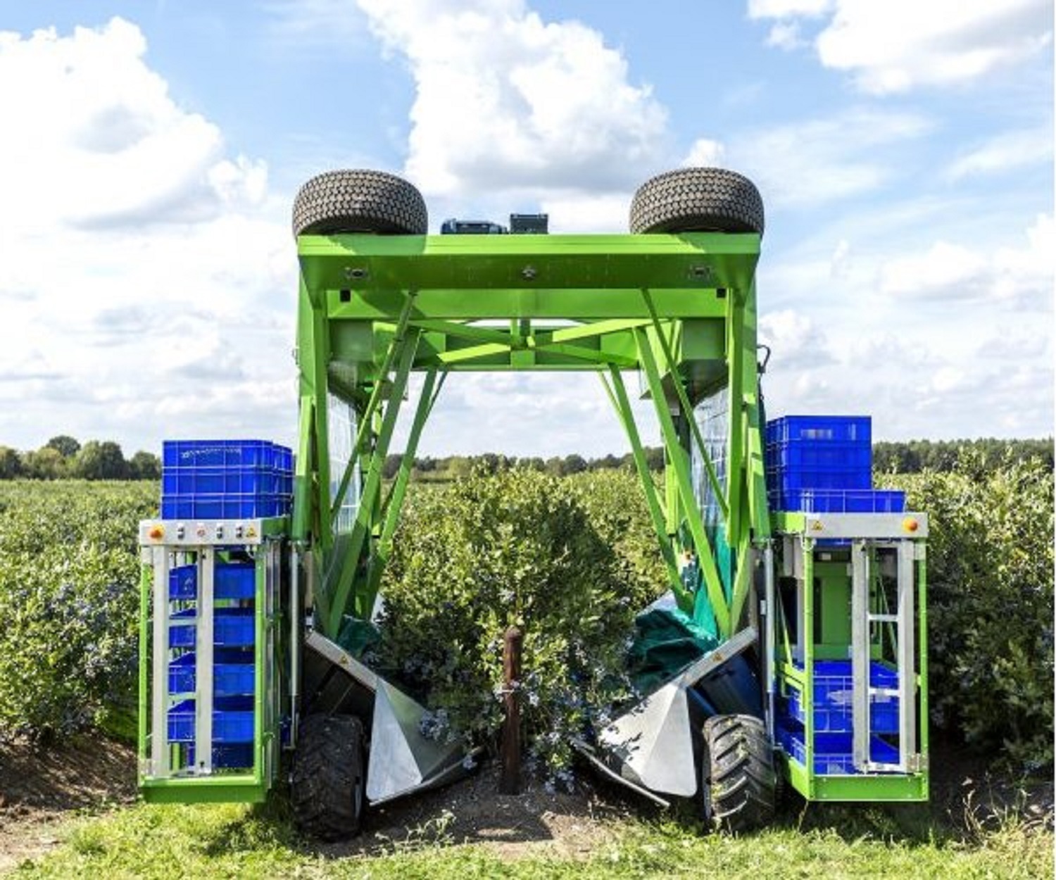Berry Harvester Market Trends and News, Future, Growth 2024-2032