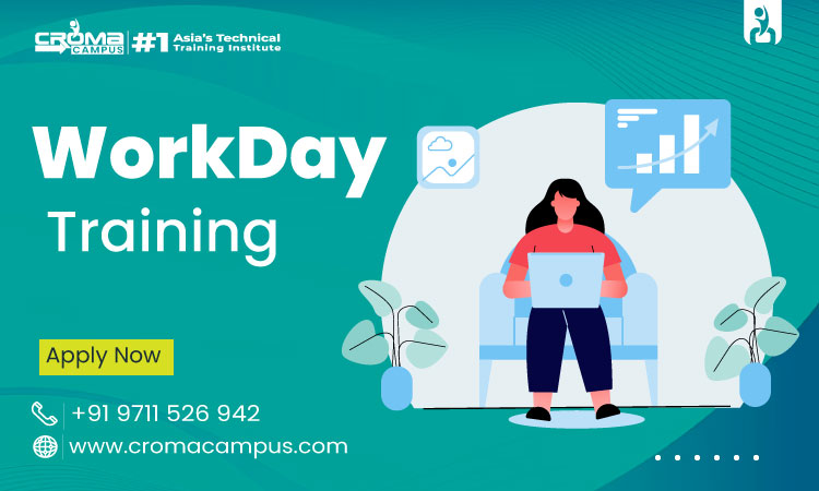How to Become a Workday Analyst?